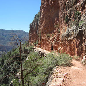 Meet your Posher, Dm